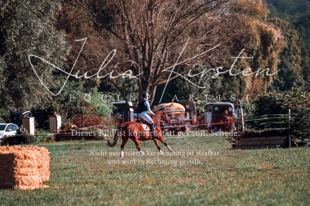 DSC_0623 | Pferde- und Turnierfotografie in Westsachsen. Pferdeportraits, Auftragszeichnungen und intuitive Kunst.