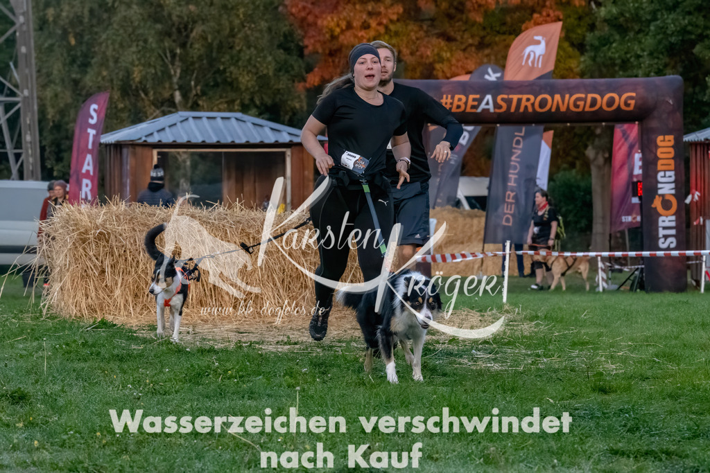 0809_ZZ94520-Bearbeitet | kk-dogfotos