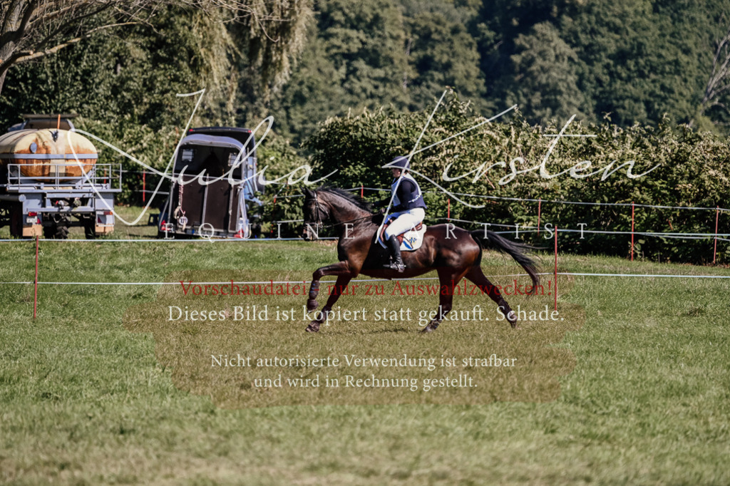 DSC_1603 | Pferde- und Turnierfotografie in Westsachsen. Pferdeportraits, Auftragszeichnungen und intuitive Kunst.