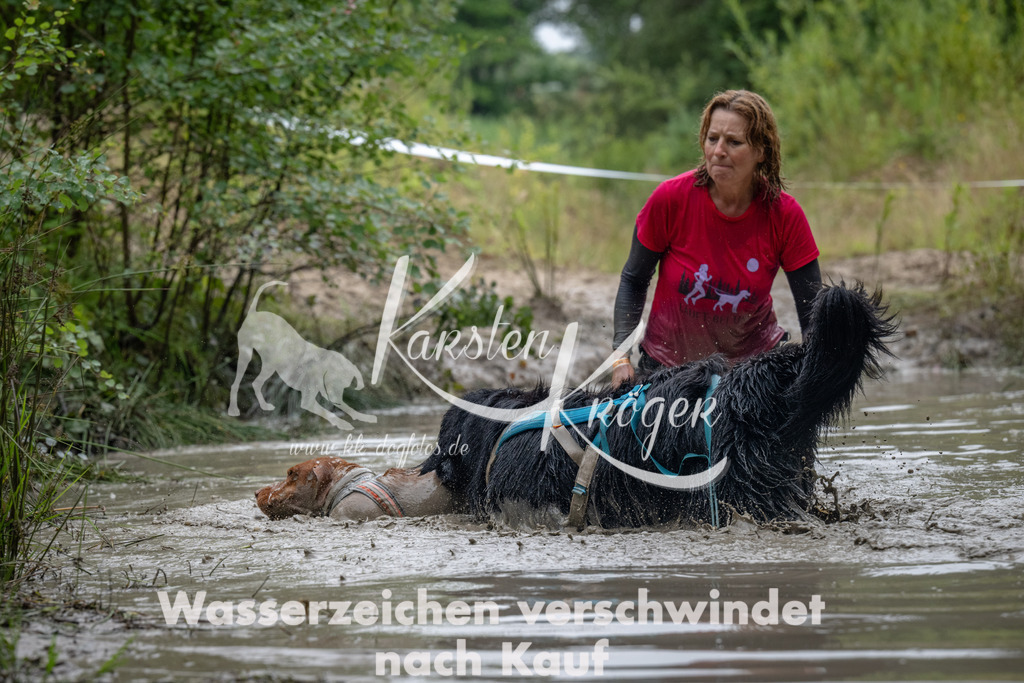 1314_ZZ93832 | kk-dogfotos