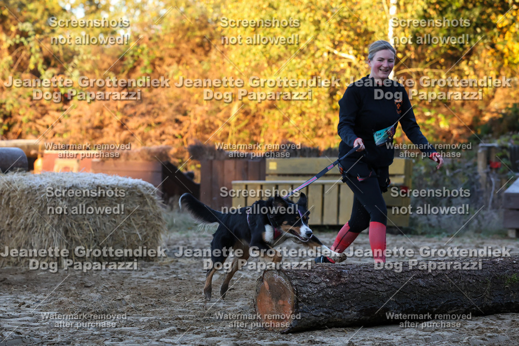 Dog Paparazzi - Strongdog 10-25-420 | Dog Paparazzi Jeanette Grottendiek Fotografie & Videografie - Realisiert mit Pictrs.com
