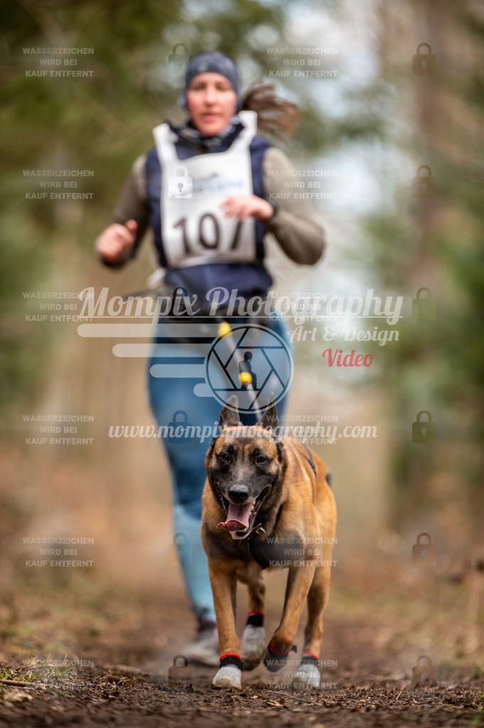 Reiat2023_SAM_CaniXRun_5km_W-28 | PayLife