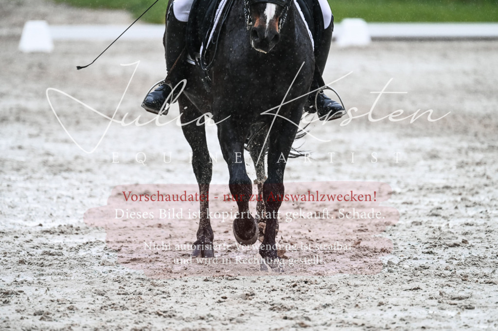 DSC_4650 | Pferde- und Turnierfotografie in Westsachsen. Pferdeportraits, Auftragszeichnungen und intuitive Kunst.