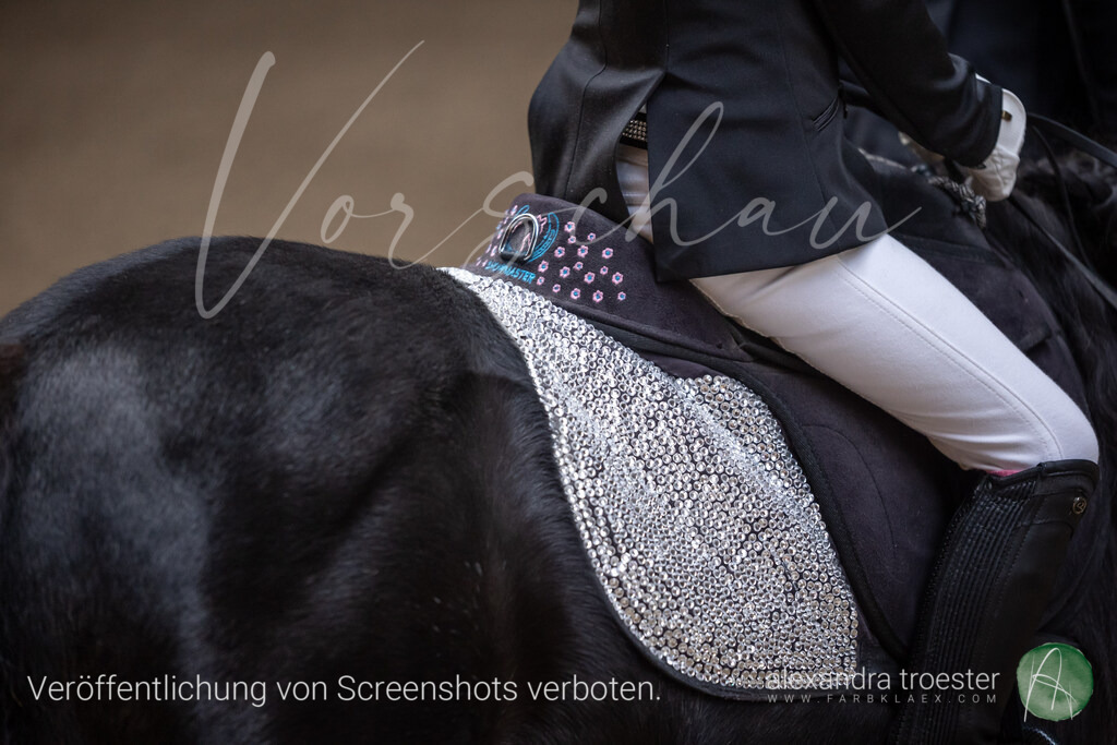 250405_Barop_01_217 | farbklaex.com