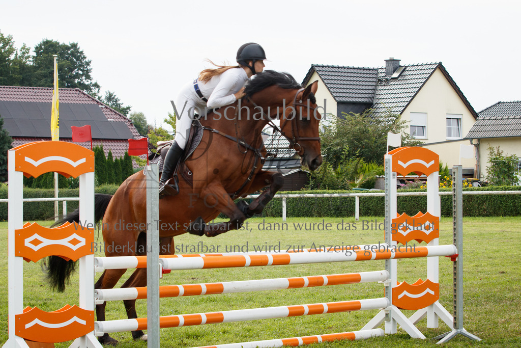 IMG_2632 | P. Berger Fotografie - Realisiert mit Pictrs.com