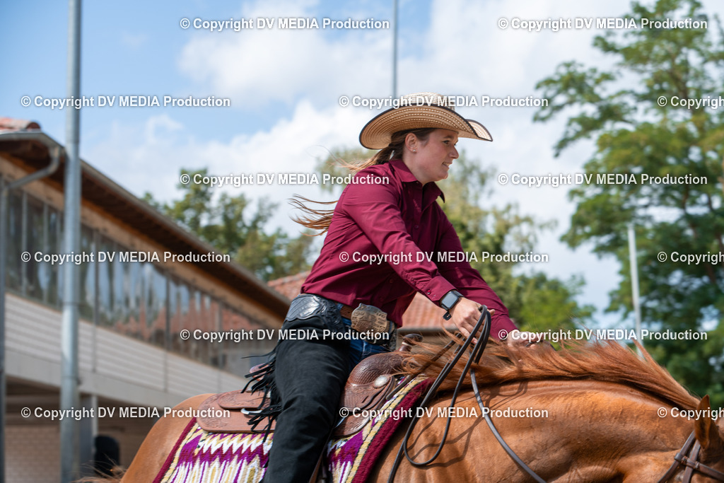 ZS3_9554 | dv-media-shop - Realisiert mit Pictrs.com