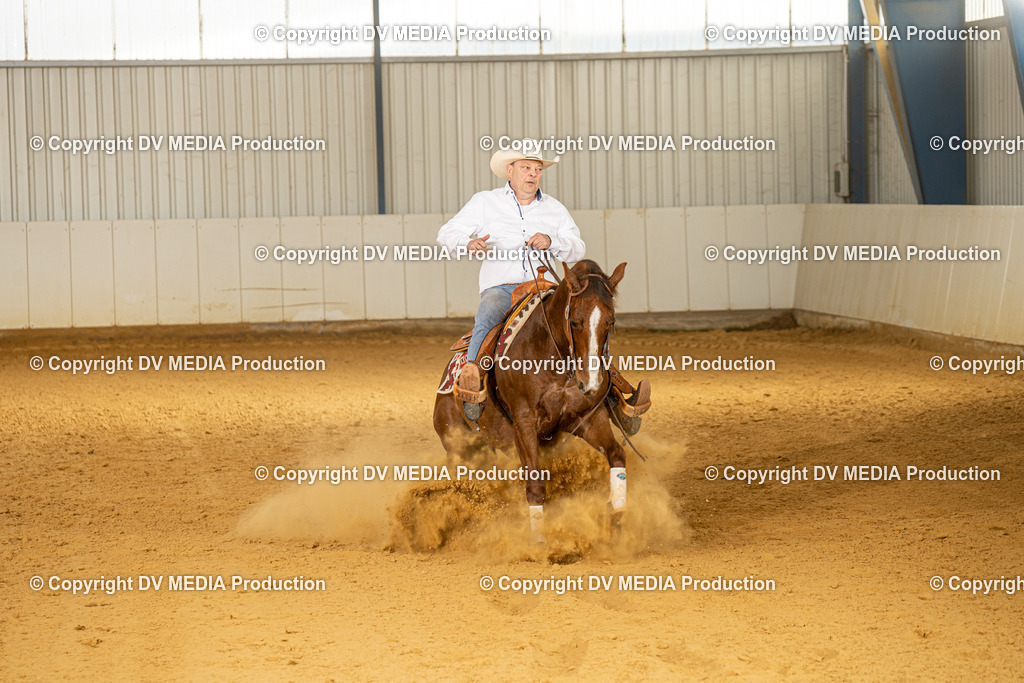 MIT00162 | dv-media-shop - Realisiert mit Pictrs.com