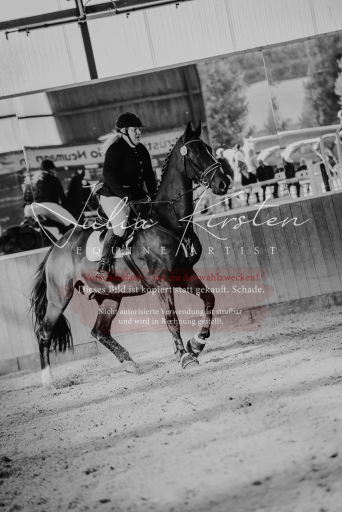 DSC_7477 | Pferde- und Turnierfotografie in Westsachsen. Pferdeportraits, Auftragszeichnungen und intuitive Kunst.