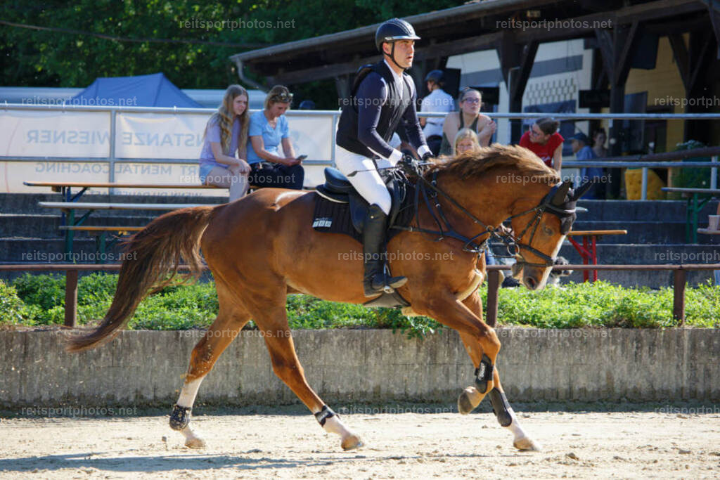 JHE_3982 | JoYa Fotografie - Realisiert mit Pictrs.com