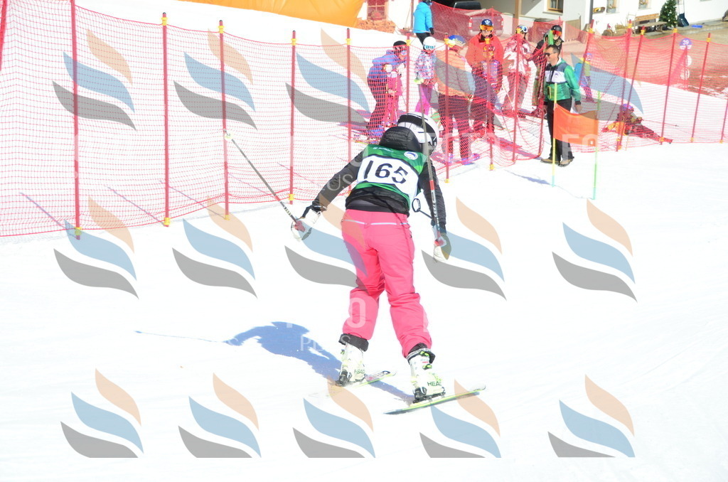 C6251 | holidayphoto