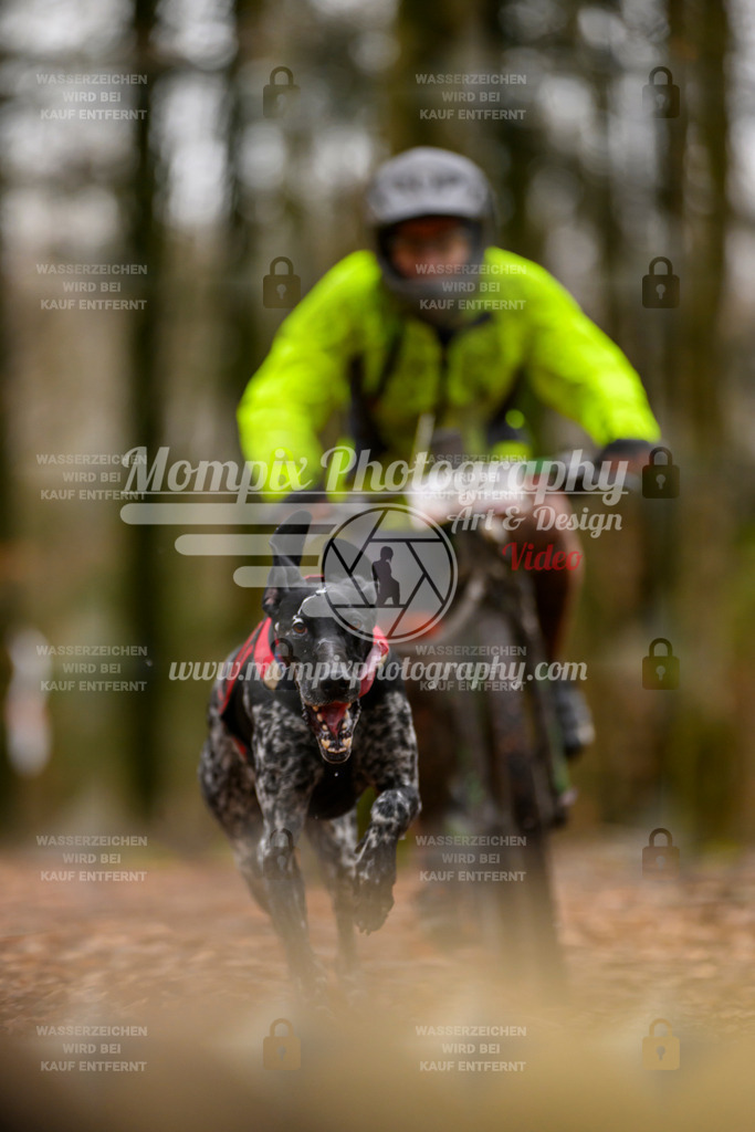MompixPhotography_Habay2024_SA_Bike-44 | PayLife