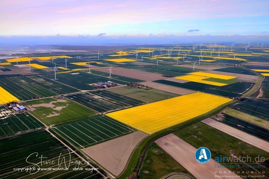Luftbild Reußenköge, Bredstedter Koog im Kreis Nordfriesland | Das Deich-Vorland entstand durch natürliche Sedimentationsprozesse: Bei Flut transportiert das Meer feine Schwebstoffe wie Schlick und Sedimente in flache Küstenbereiche.  In ruhigen Wasserzonen, besonders hinter Inseln oder in Buchten, setzen sich diese Teilchen ab. Pionierpflanzen wie Queller und Schlickgräser siedeln sich an, verankern das Material und fördern weitere Ablagerungen.  So wächst das Vorland über Jahre langsam aus dem Watt heraus und wird schrittweise „deichreif“. Dieser natürliche Aufbau dient als Puffer gegen Wellen und ist Voraussetzung für stabile Deiche.