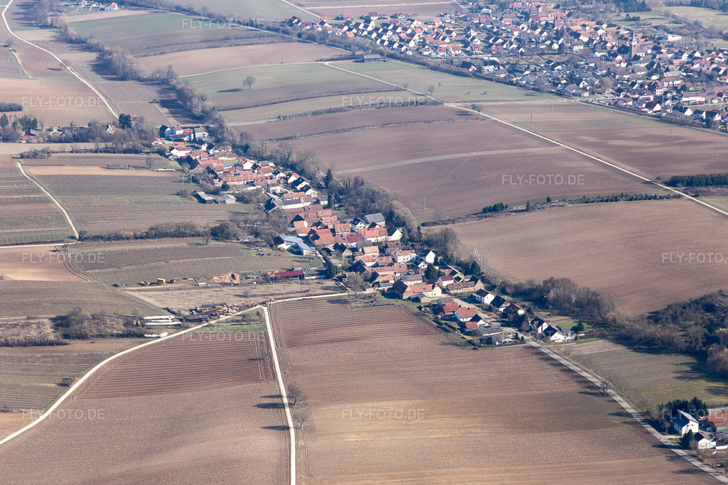 Luftbild: landwirtschaftlichen Feldern und Nutzflächen in Vollmersweiler im Bundesland Rheinland-Pfalz in Deutschland. Foto: IMG_112662.jpg vom 16.02.2019 durch Werner Riehm/FLY-FOTO.de