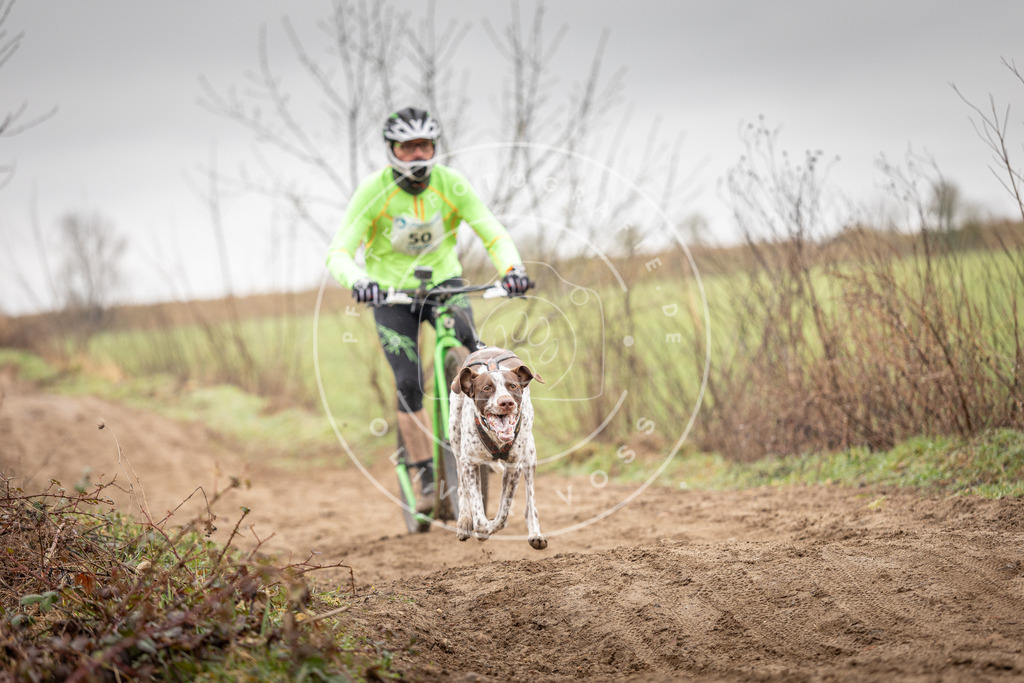 DV3A9233 | Hundefotografie, Tierfotograf, Pfotenfotografie, Fotoshooting Hund, Hunde Portrait, Hundesport, Hundeportraits, Heideshooting, Hunde, Sportfotograf, Hundefotograf, Turnierhundsport, THS,  - Realisiert mit Pictrs.com