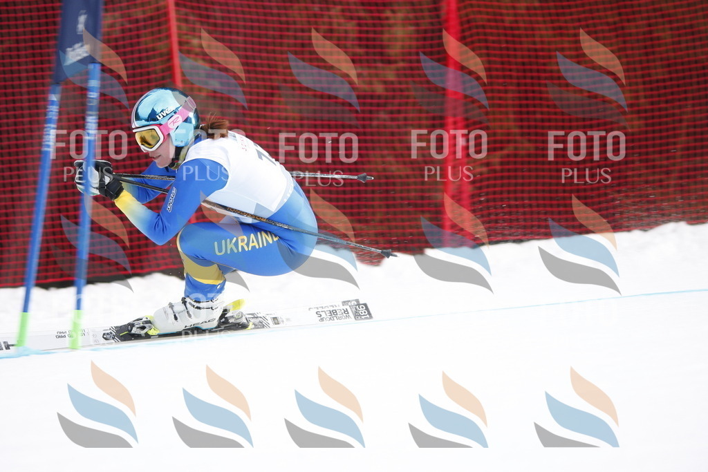 D4769 | holidayphoto