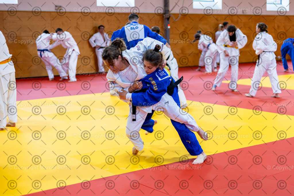 20250418-161631-_G2A6852-MarcelSutter | Finde und bestelle deine Sport- und Eventfotos in höchster Qualität. Professionelle Aufnahmen von Wettkämpfen, Veranstaltungen und Outdoor-Events – schnell und einfach online bestellen. - Realisiert mit Pictrs.com