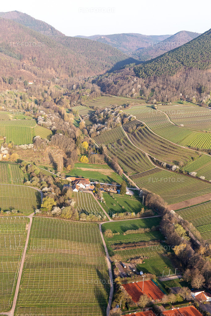 Luftbild: Modenbachtal in Burrweiler im Bundesland Rheinland-Pfalz in Deutschland. Foto: IMG_126295.jpg vom 04.04.2021 durch Werner Riehm/FLY-FOTO.de