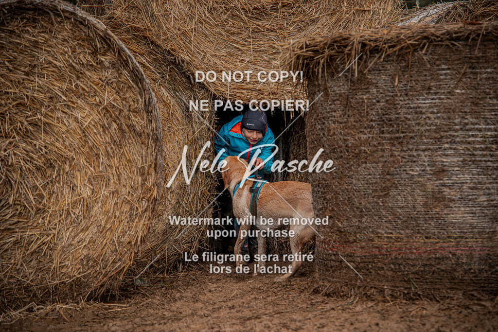 nelerasche_Hunsrück_So12-13_317 | nelerasche