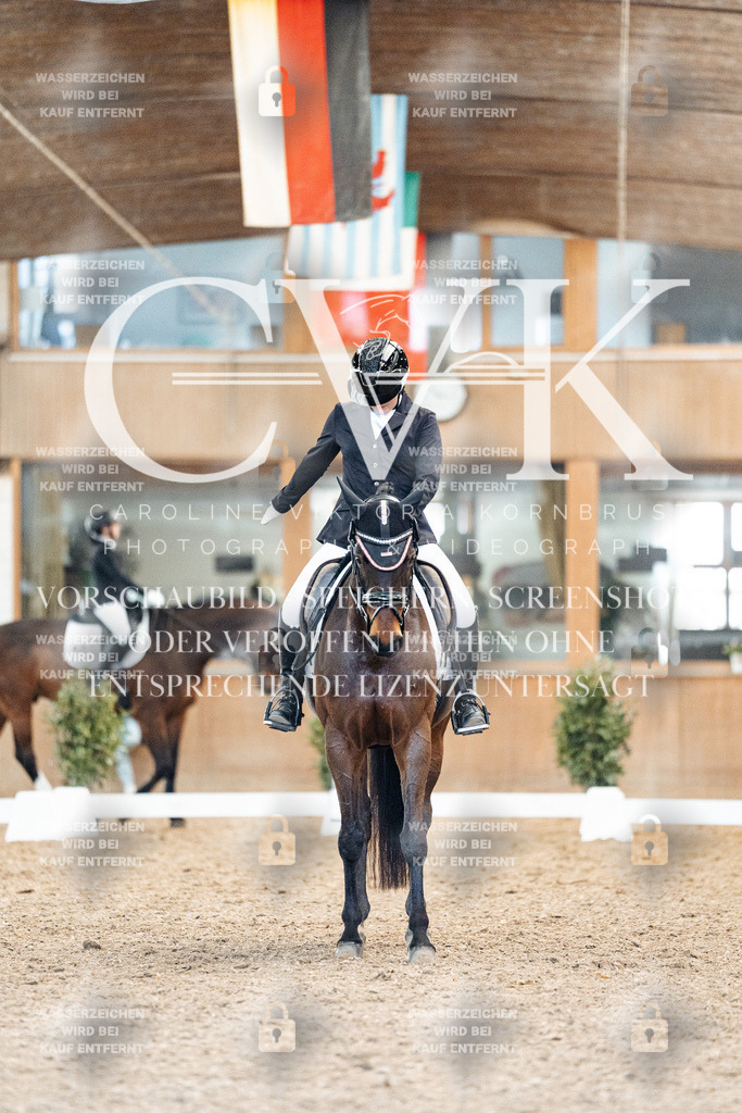 CK908264 | Turnierfotografie Pferdefotografie Trier Rheinland-Pfalz Pferdesport Reitsport Tierfotografie Sportfotografie Pferdevideo Pferdevideografie Equestrianvideography equestrianphotography  - Realisiert mit Pictrs.com