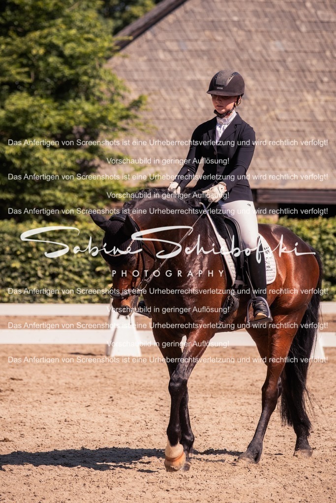 2025_05_31_DSCF3101 | People- und Tierfotografie, Imageaufnahmen, Veranstaltungsfotografie und Wandbilder aus der Natur ★ Made in Germany ✔️ Druck + Downloads ✔️ Naturfotografie in Top Qualität ★ schneller Versand, weltweite Lieferung! - Realisiert mit Pictrs.com