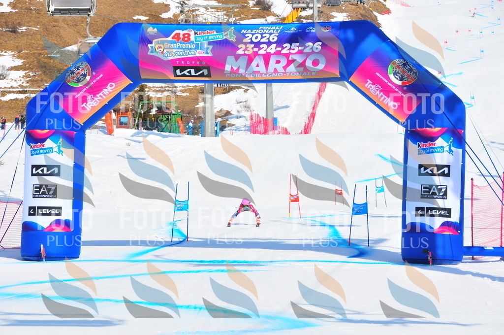 DSC_0597 | holidayphoto