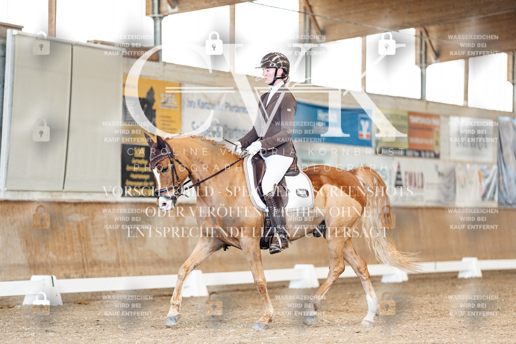 CK900765 | Turnierfotografie Pferdefotografie Trier Rheinland-Pfalz Pferdesport Reitsport Tierfotografie Sportfotografie Pferdevideo Pferdevideografie Equestrianvideography equestrianphotography  - Realisiert mit Pictrs.com