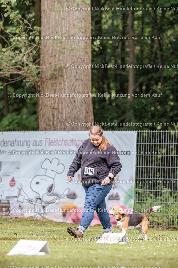 RO-Blumenthal-2026-Nickbest-Hundefotografie-1412 | Dein Hund! Dein Moment! Deine Erinnerungen! Hundefotografie in Bremen Blumenthal. Ich fange die besonderen Momente deines Vierbeiners ein – ob Indoor mit Blitzanlage oder in der freien Natur. Sicher dir dein Moment und dein Termin für eure Erinnerungen.