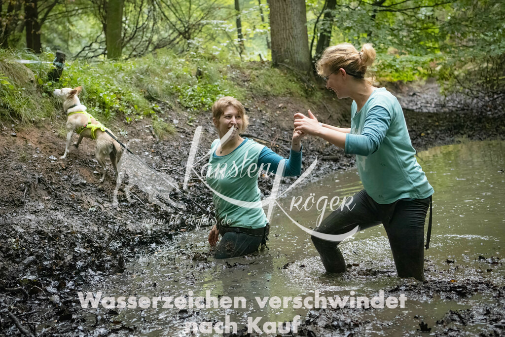 0949_ZZ91268-Bearbeitet | kk-dogfotos