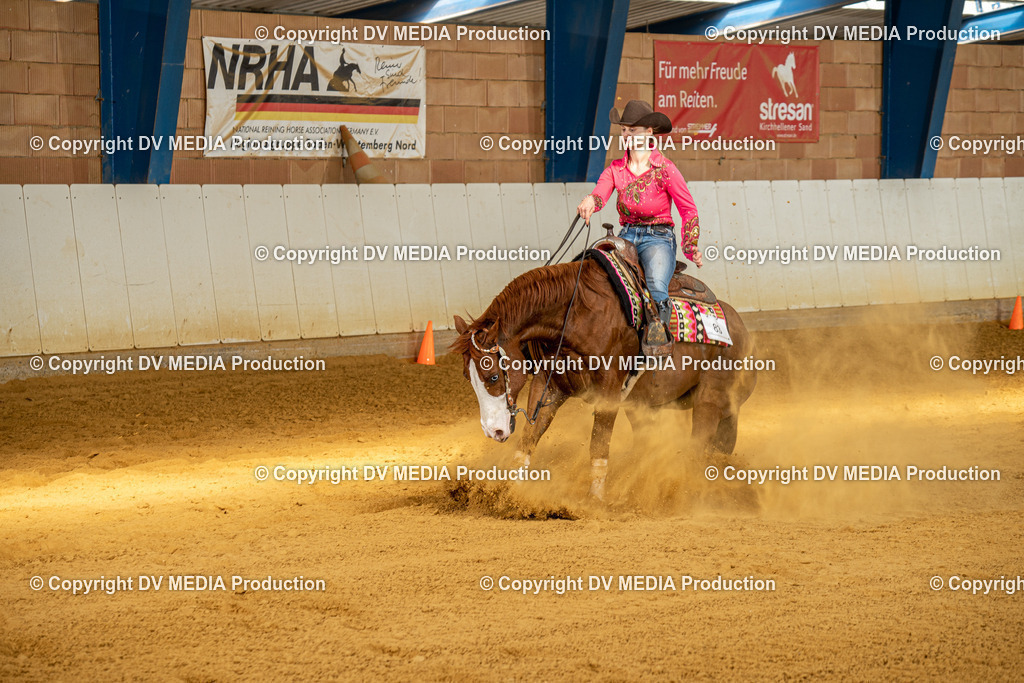 MIT00896 | dv-media-shop - Realisiert mit Pictrs.com