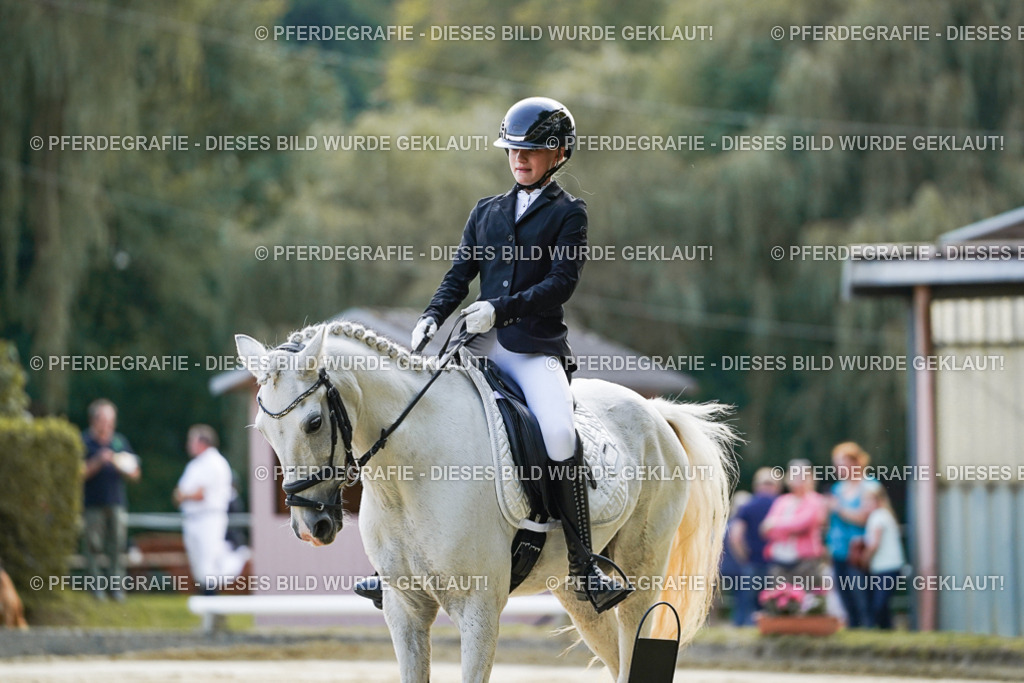 DSC05306 | Pferdegrafie