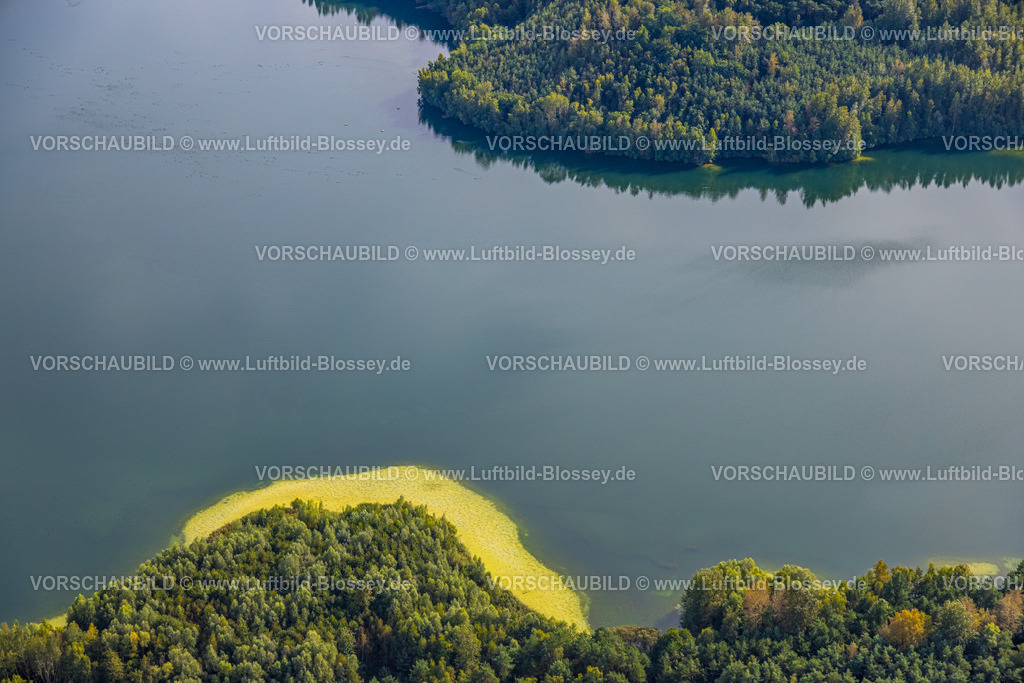 Haltern230905895 | Luftbild, Sandstrand am Wald am Baggerloch Flaesheim, Flaesheim, Haltern am See, Ruhrgebiet Münsterland, Nordrhein-Westfalen, Deutschland