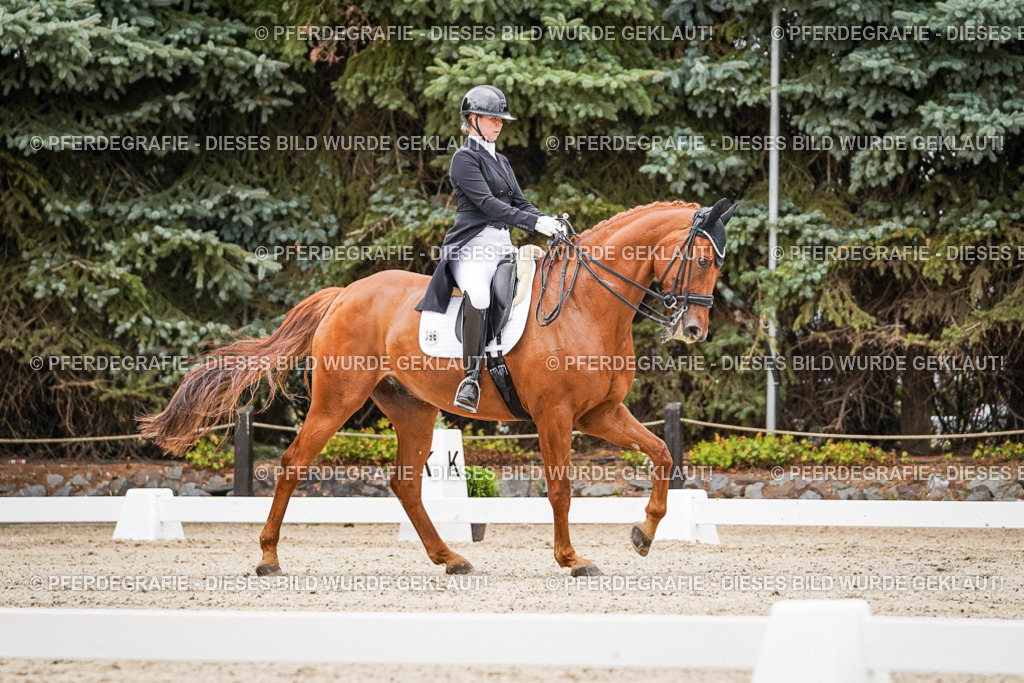 DSC05238 | Pferdegrafie