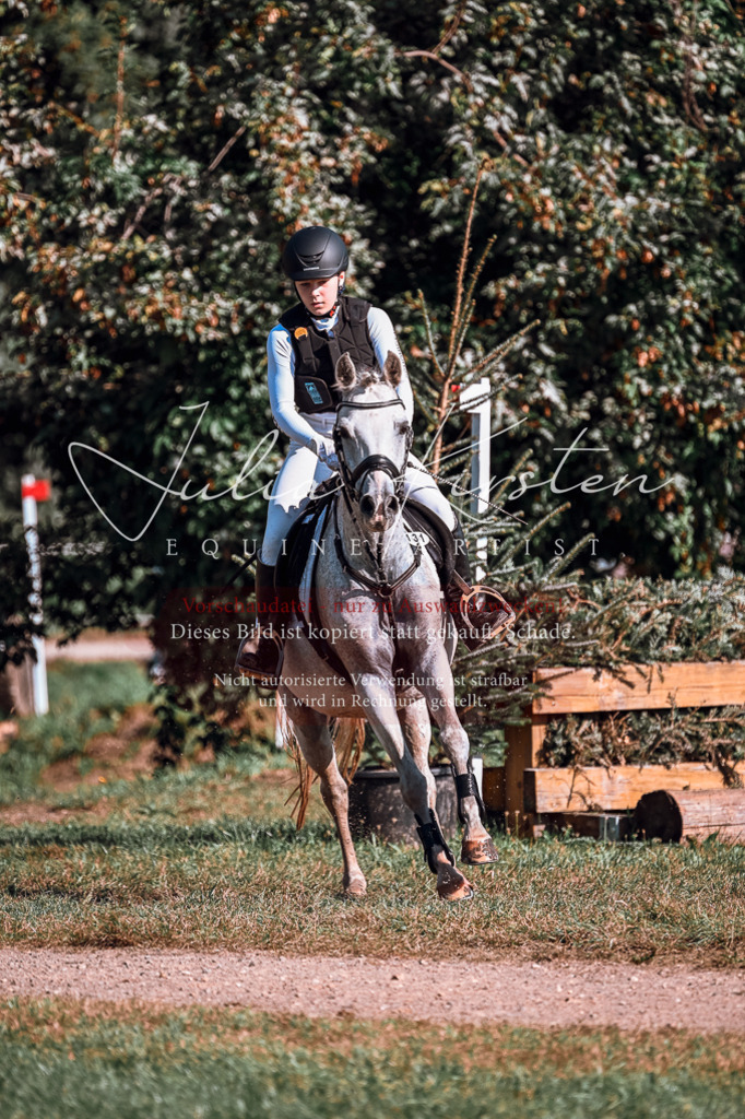 DSC_0658 | Pferde- und Turnierfotografie in Westsachsen. Pferdeportraits, Auftragszeichnungen und intuitive Kunst.