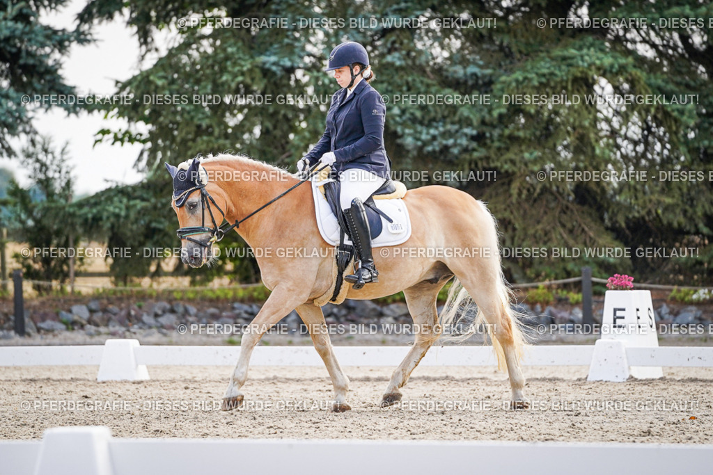 DSC00631 | Pferdegrafie