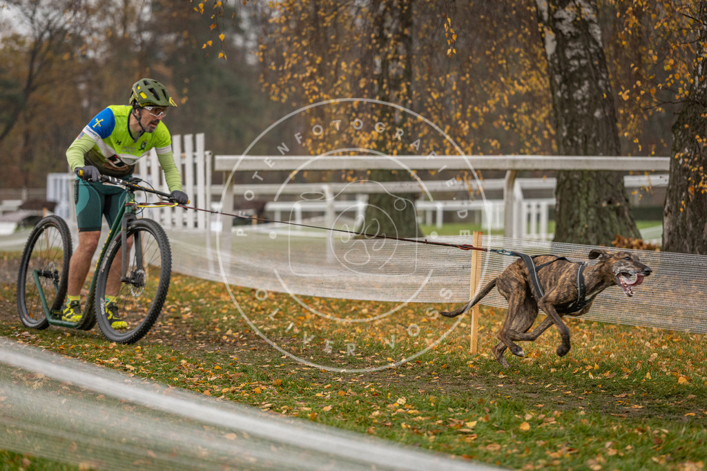 CaniXpix_DV3A8153 | Hundefotografie, Tierfotograf, Pfotenfotografie, Fotoshooting Hund, Hunde Portrait, Hundesport, Hundeportraits, Heideshooting, Hunde, Sportfotograf, Hundefotograf, Turnierhundsport, THS,  - Realisiert mit Pictrs.com