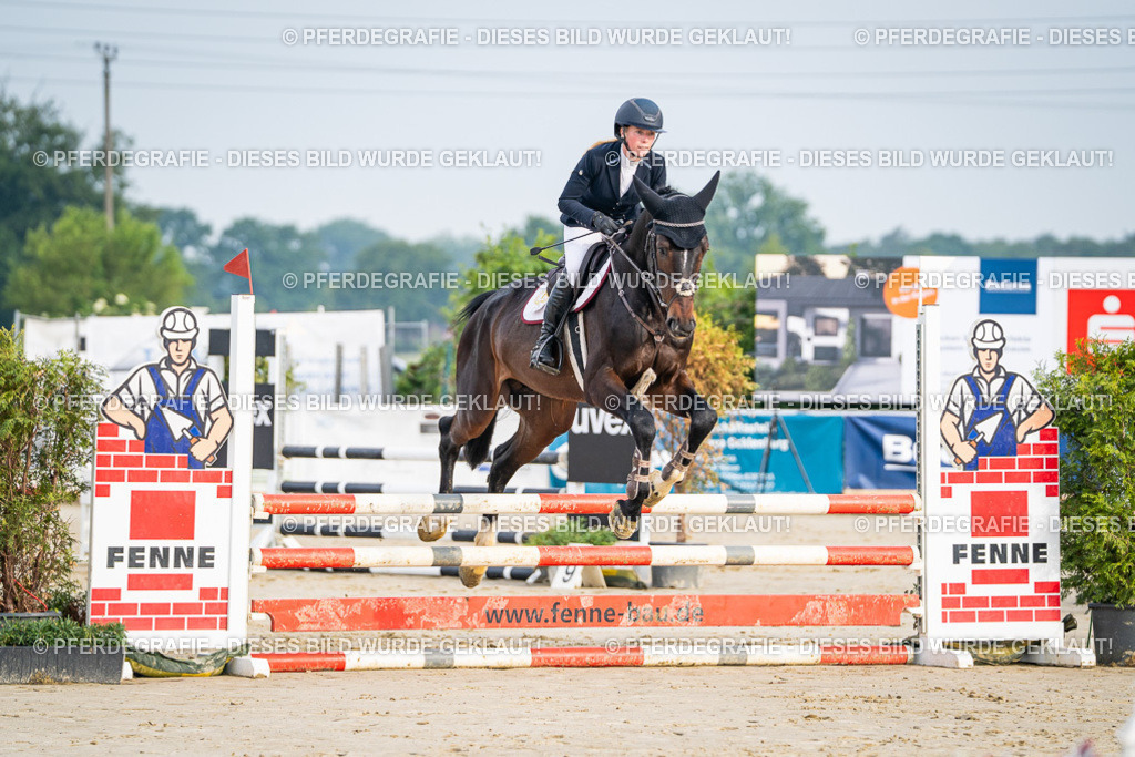 DSC07759 | Pferdegrafie