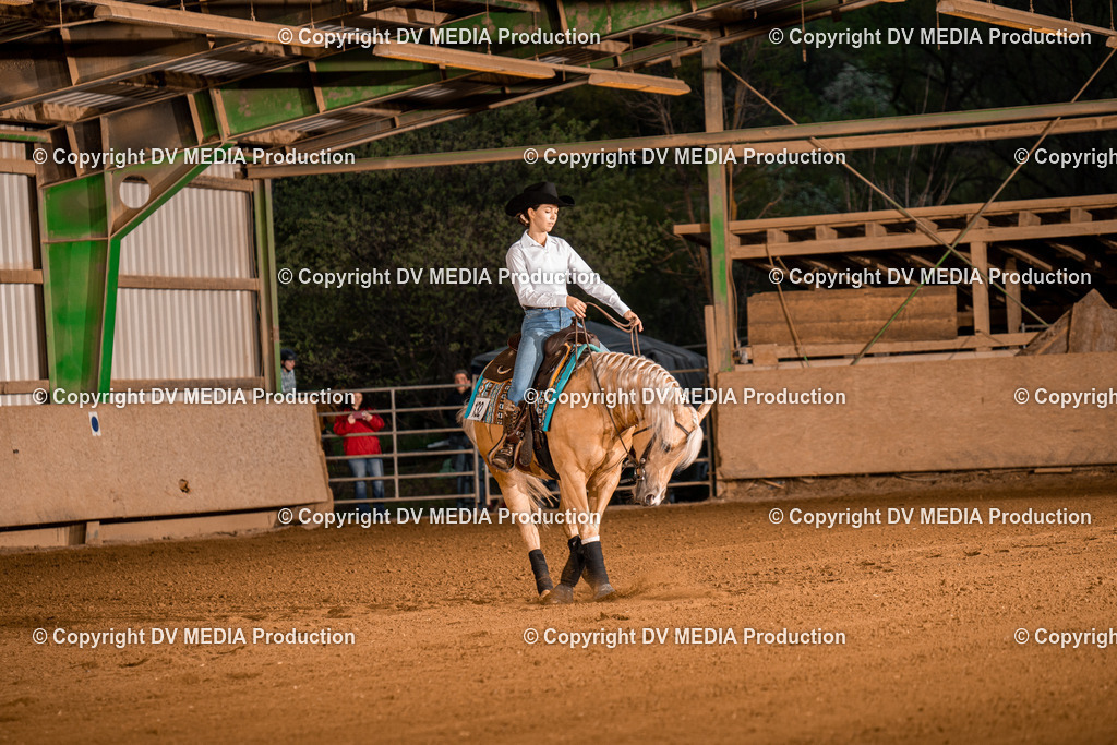 BA301402 | dv-media-shop - Realisiert mit Pictrs.com