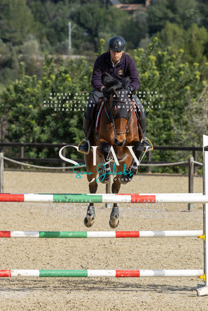 IMG_4597 | s-jay-photography - Realisiert mit Pictrs.com