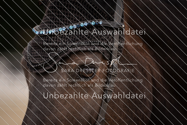 SD_OED_04061 | saradresslerfotografie - Realisiert mit Pictrs.com