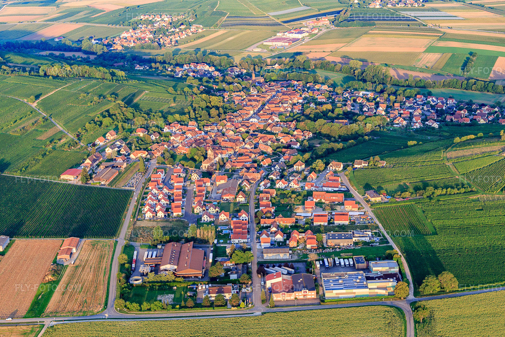 Aerial view: View of the town from the east in Scharrachbergheim-Irmstett in the state Bas-Rhin, France. – Photo: IMG_138023.jpg taken on 08/19/2023 by Werner Riehm/FLY-FOTO.com – Resolution of the original: 5281 x 3521 px