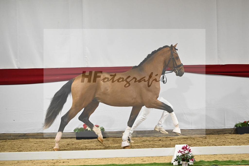 Kat-Nr. 54 v. Vaderland_Rakelbusch_63221551 | hf-fotografie - Realizzato con Pictrs.com