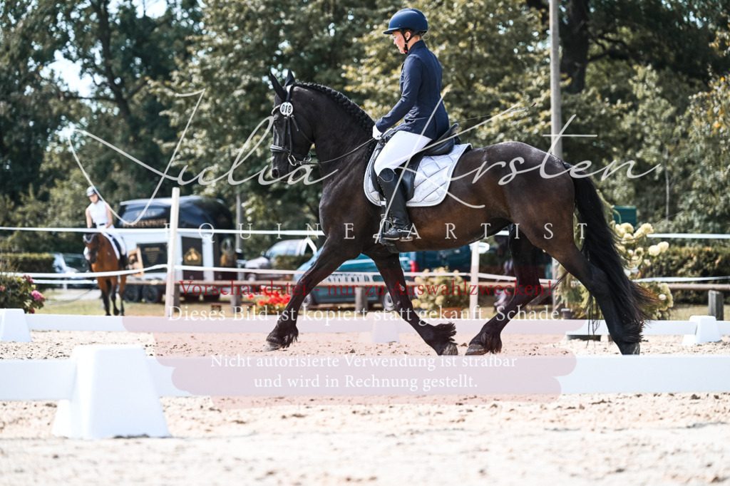 DSC_5402 | Pferde- und Turnierfotografie in Westsachsen. Pferdeportraits, Auftragszeichnungen und intuitive Kunst.
