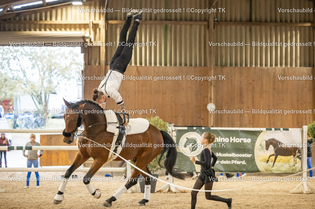 _D5A3079 | Emotionale Pferde- & People-Fotografie rund um Heidelberg, Leimen & Umgebung. Natürliche Fotos von Pferd, Mensch & Familie. Jetzt Termin sichern!