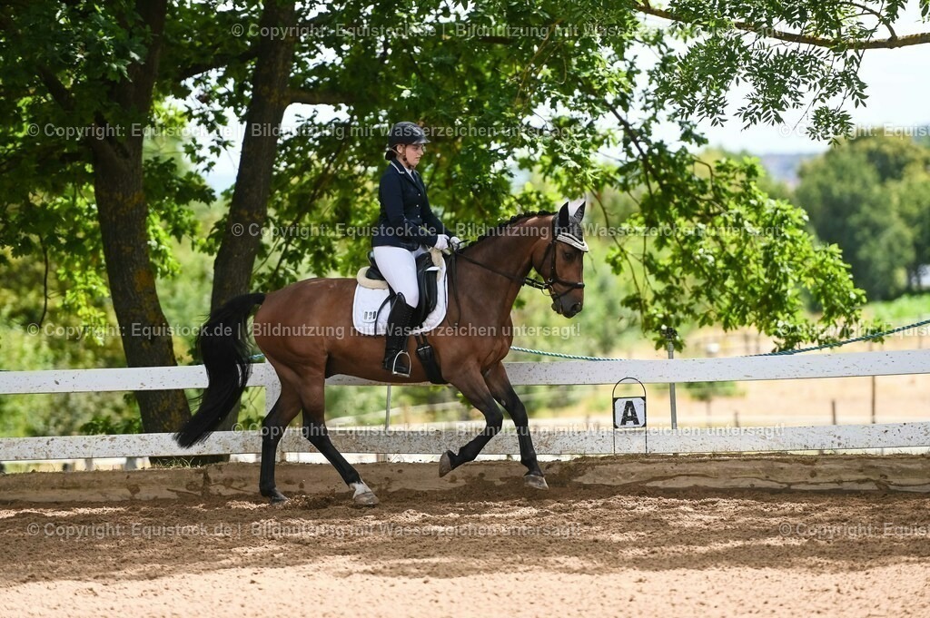20230716_03_Dressurprfg. Kl.L - Tr._0671 | equistock