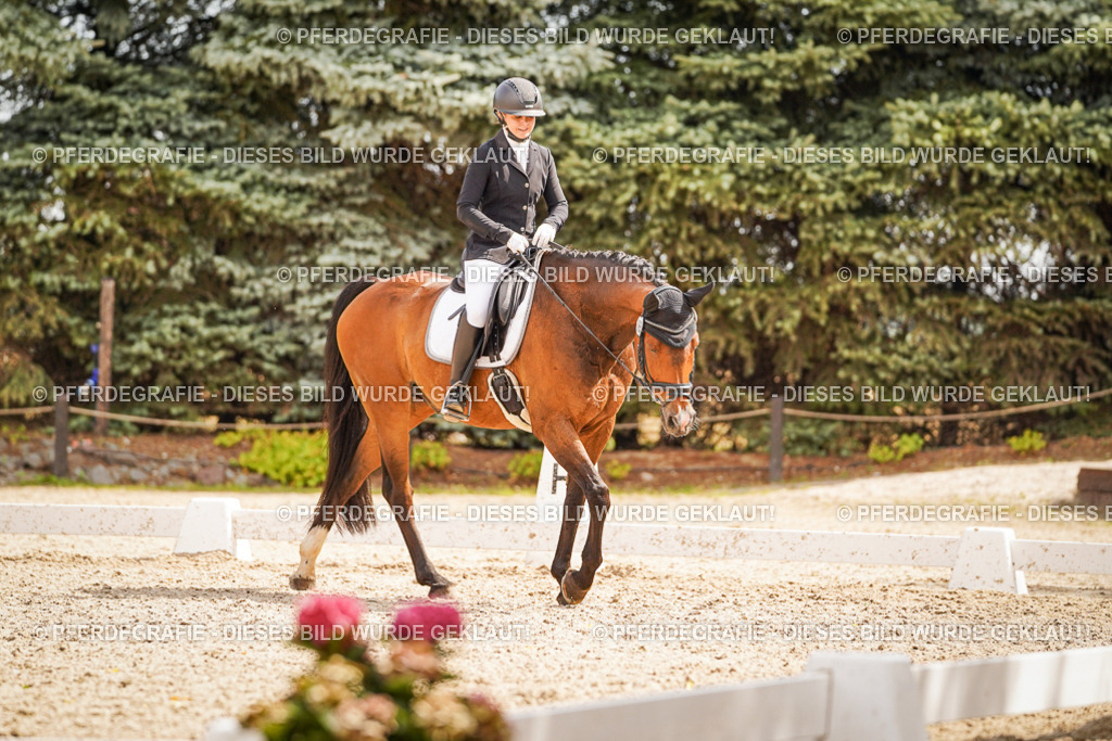 DSC01758 | Pferdegrafie