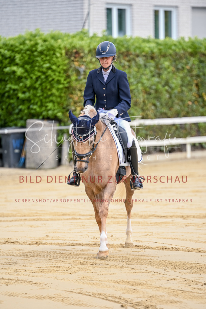 Schugtsche-Aluta25-48.Reitpferfdeprf.-8 | Schugtsche Fotografie - Realisiert mit Pictrs.com