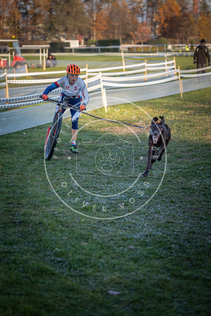 CaniXpix_0L8A2019 | Hundefotografie, Tierfotograf, Pfotenfotografie, Fotoshooting Hund, Hunde Portrait, Hundesport, Hundeportraits, Heideshooting, Hunde, Sportfotograf, Hundefotograf, Turnierhundsport, THS,  - Realisiert mit Pictrs.com