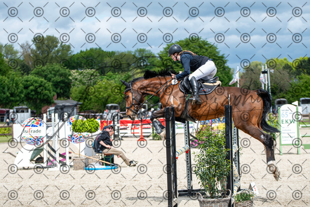 KPT_5672 | andre_photographic