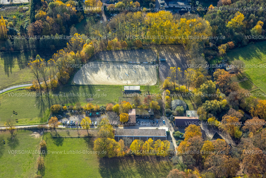Herdecke251104612 | Luftbild, Reiterhof Nockemann, herbstliche Bäume, Westende, Herdecke, Ruhrgebiet, Nordrhein-Westfalen, Deutschland
