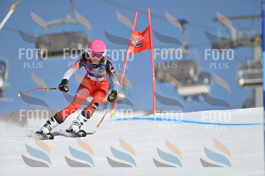 BGV_7576 | holidayphoto